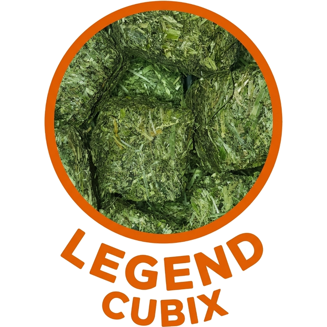 Trojan Legend Cubix logo